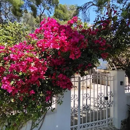 Holiday home Rigos House At Askeli Beach, Poros Island Poros Town